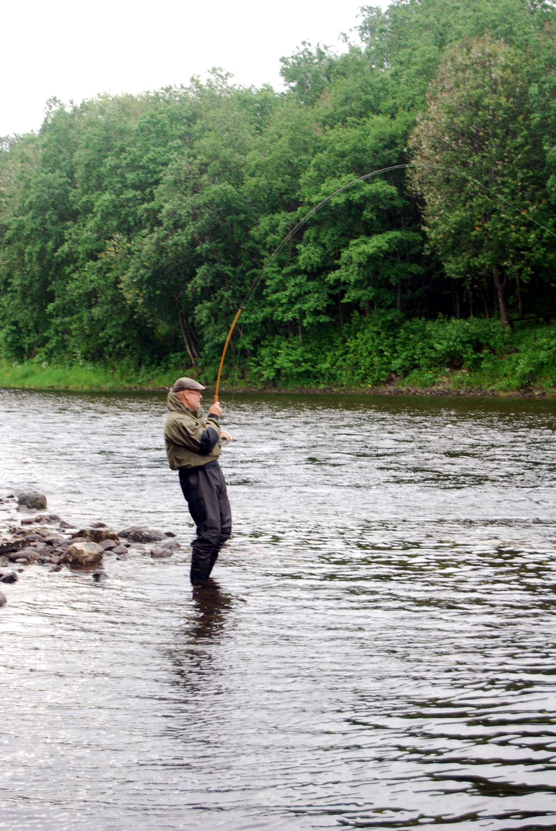 Parabolic fly rods